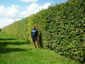 Фотография Трейденса Андрея