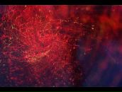 Bruce Raw фотография #12 (источник - https://vk.com/id629149)