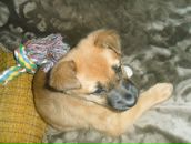 Евгений Яценюк фотография #43 (источник - https://vk.com/id5135080)