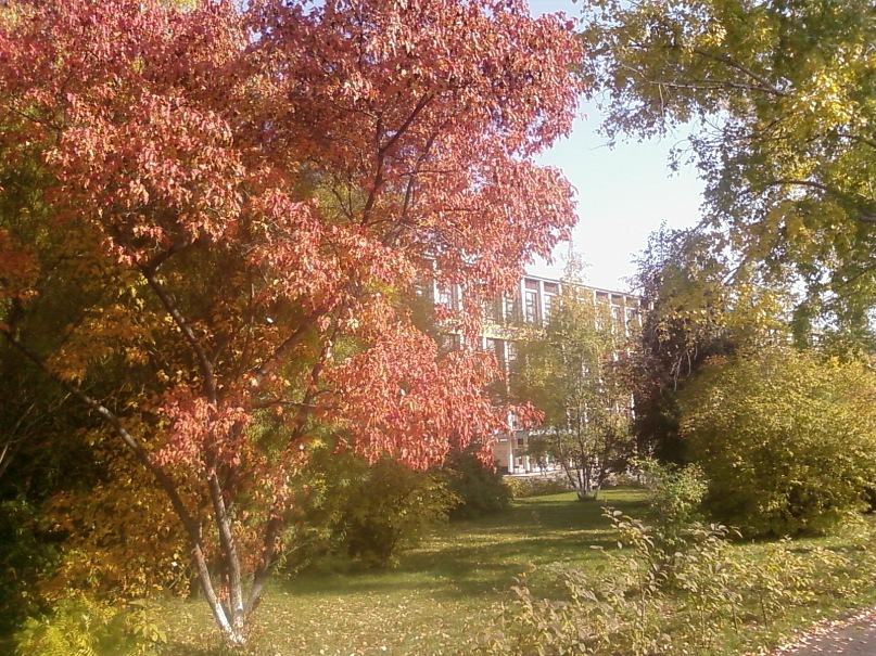 Николай Собакин фотография #3