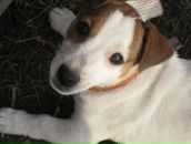 Фотография Юсуповой Эллы