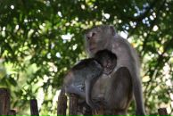 Виктор Викторов фотография #16 (источник - https://vk.com/id3277008)