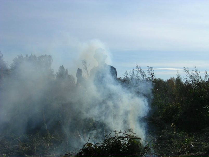 Анви Мкв фото №1