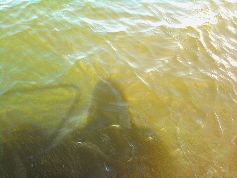 Пашка Собко фотография #32