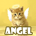 Сергій Громик фотография #50 (источник - https://vk.com/id76801216)