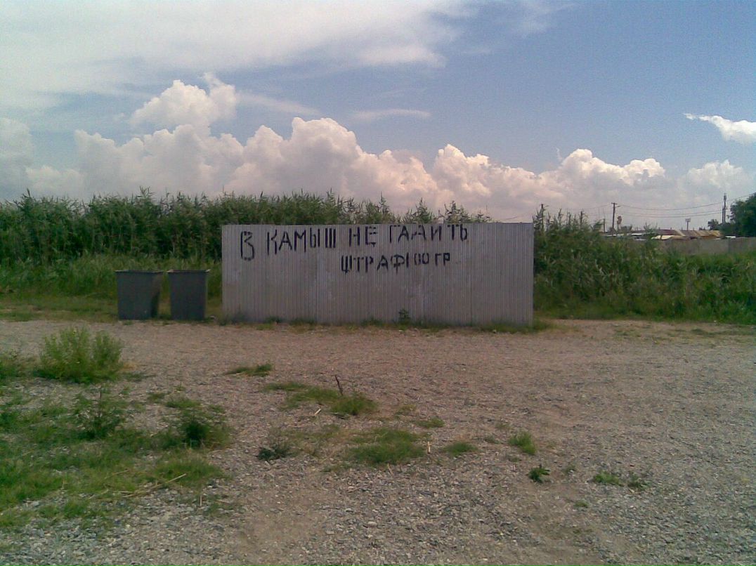 Иван Старченко фотография #33