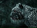Фотография Shiryaev Ivan