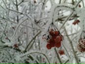 Віктор Бевза фотография #23 (источник - https://vk.com/id71881935)