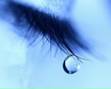 Фотография Сухаревой Ирины