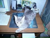 Вера Петровец фотография #34 (источник - https://vk.com/id36439799)