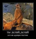 Міша Божан фотография #38 (источник - https://vk.com/id31850740)