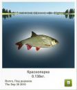 Віталій Пастрама фотография #29 (источник - https://vk.com/id34071171)