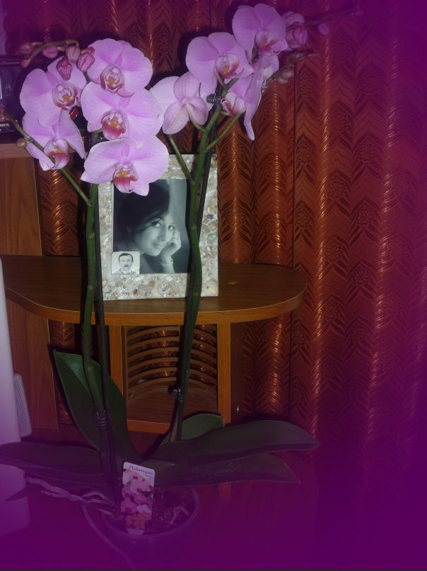 Вефа Гасанова фотография #17