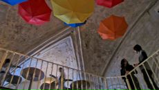 Фотография Островской Жанны