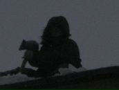 Фотография Левикова Юрия