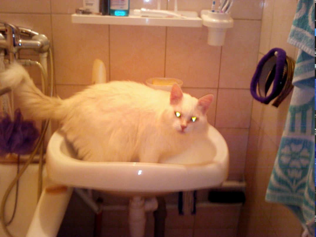 Иван Лихачев фотография #17