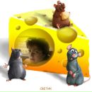 Фотография Жегулович Артём