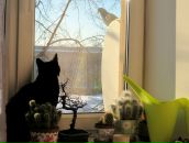 Натали Чародеева фотография #4 (источник - https://vk.com/id316908)