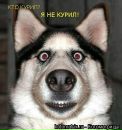 Віталік Челядин фотография #25 (источник - https://vk.com/id65655898)