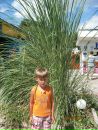 Ніколя Гриневич фотография #25 (источник - https://vk.com/id134730344)