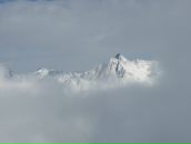 Фотография Медведева Станислава