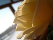 Фотография Ерошевич Алеси