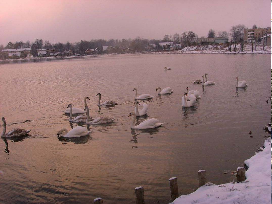 Андрей Подерачёв фотография #20