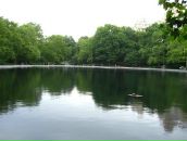 Ольга Біткіна фотография #46 (источник - https://vk.com/id78963361)